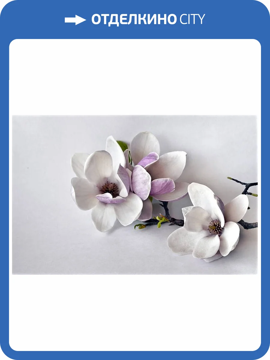 3D Фотообои Artegrafico «Нежная магнолия на стене» FW-015 канвас фото 2