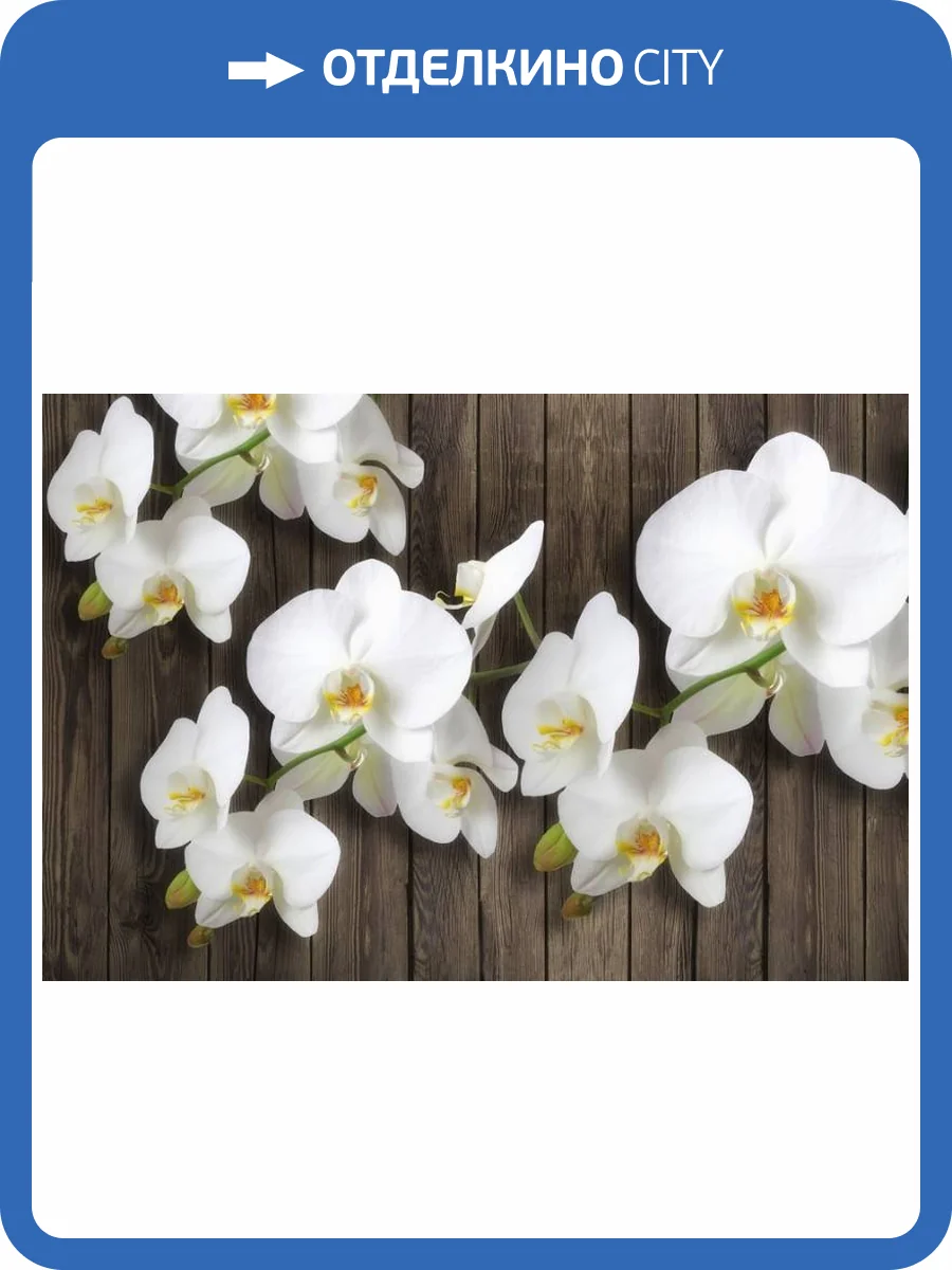 3D Фотообои Artegrafico «Роскошная орхидея» FW-004 акварель фото 2