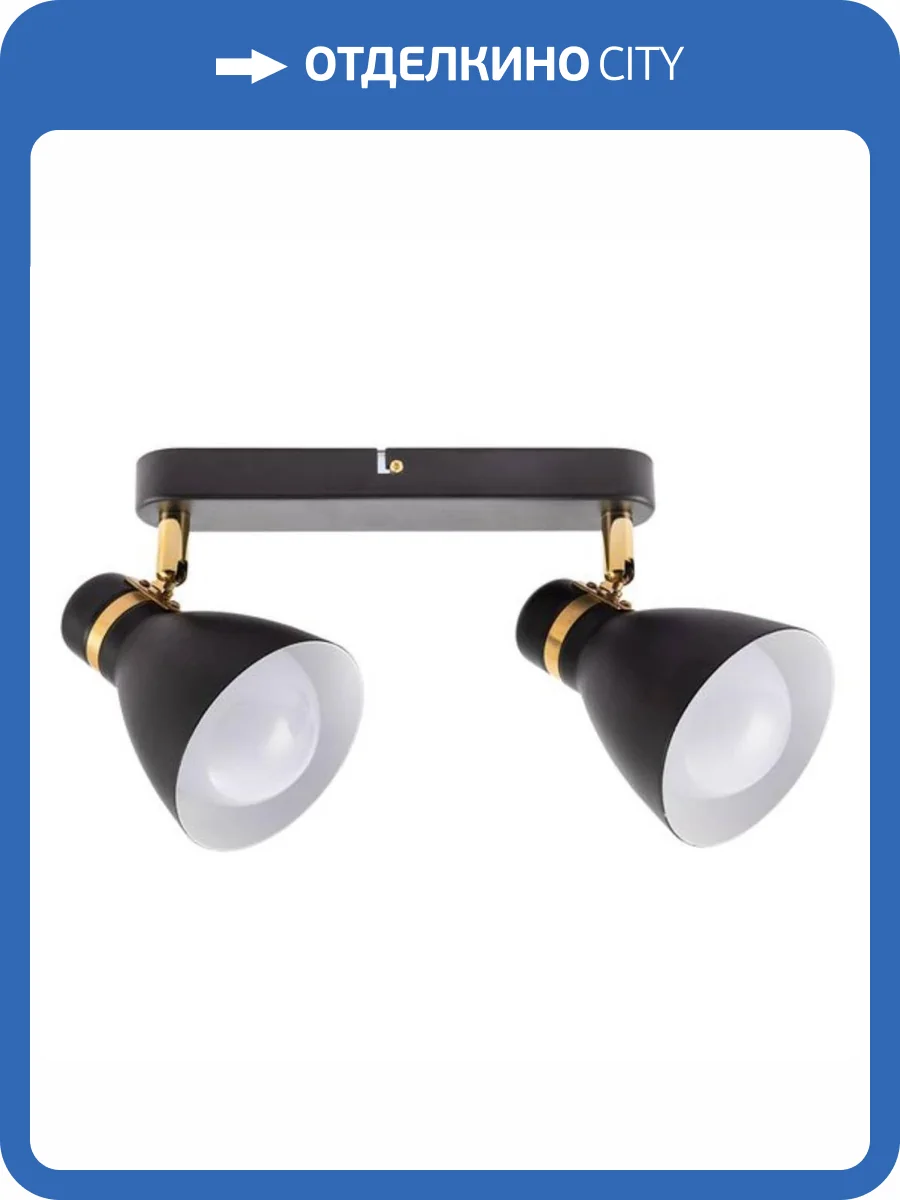 Спот Arte Lamp Fafnir A5047PL-2BK фото 4