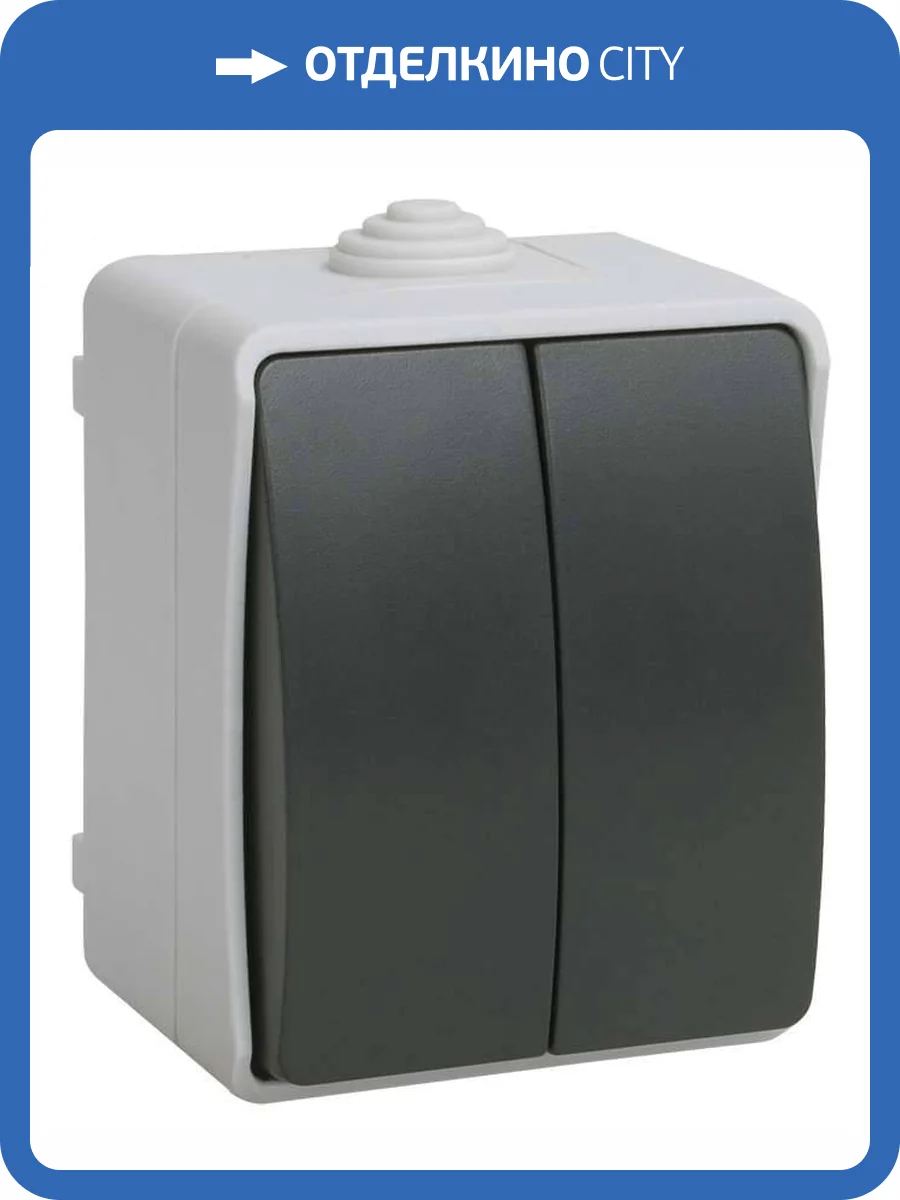 Выключатель 2-клавишный IEK Fors EVS20-K03-10-54-DC серый фото 6