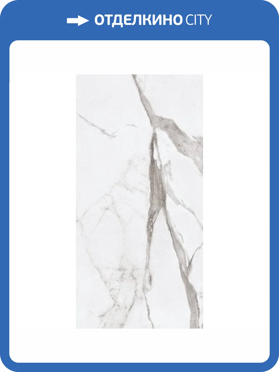 Керамогранит Ariana Epoque PF60004770 White Statuario Ret 60x120 фото 2