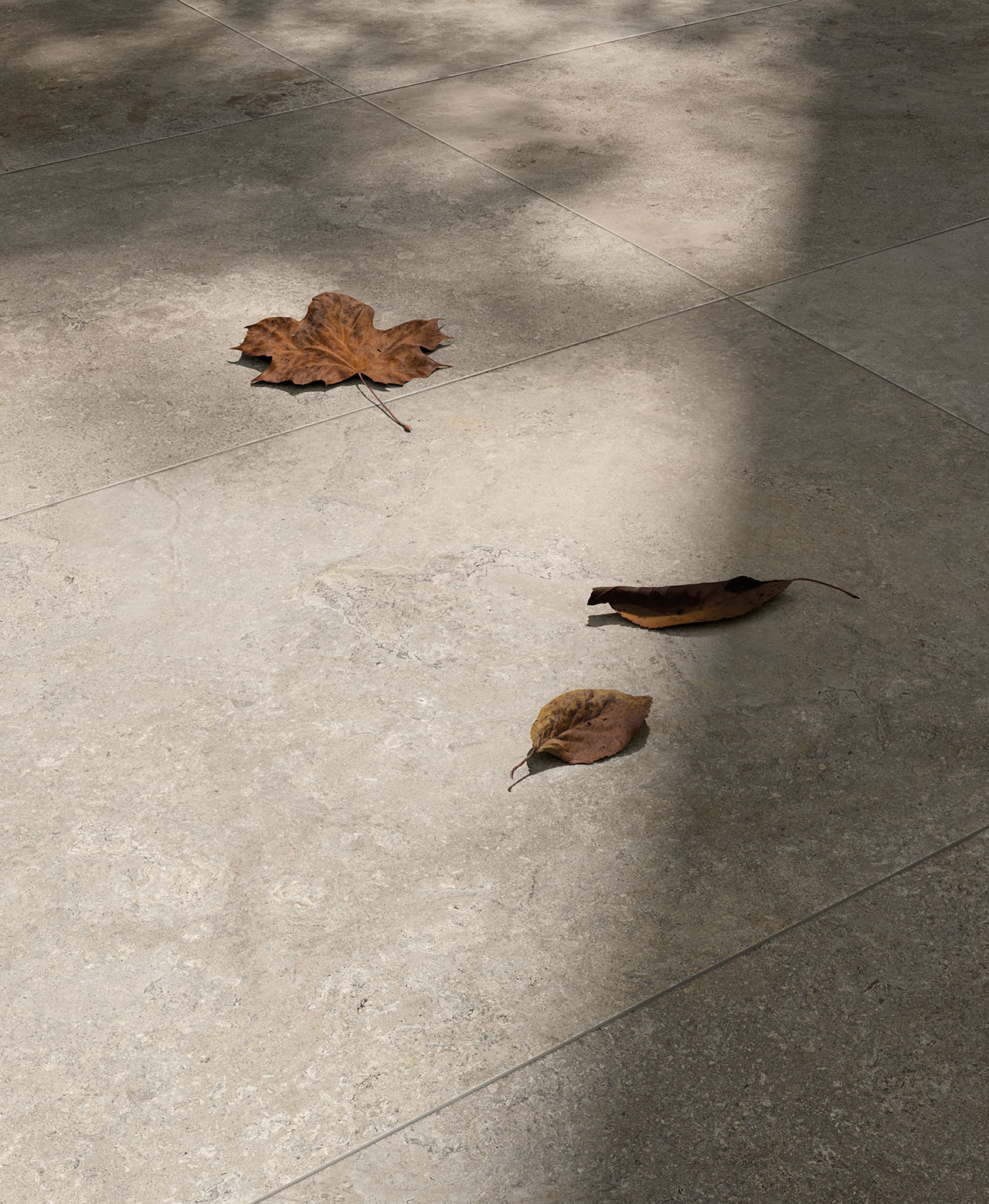 Cercom Stone Vision фото 7