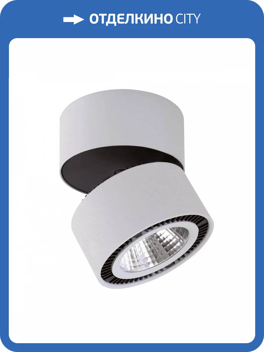 Потолочный светодиодный светильник Lightstar Forte Muro 213830 фото 3