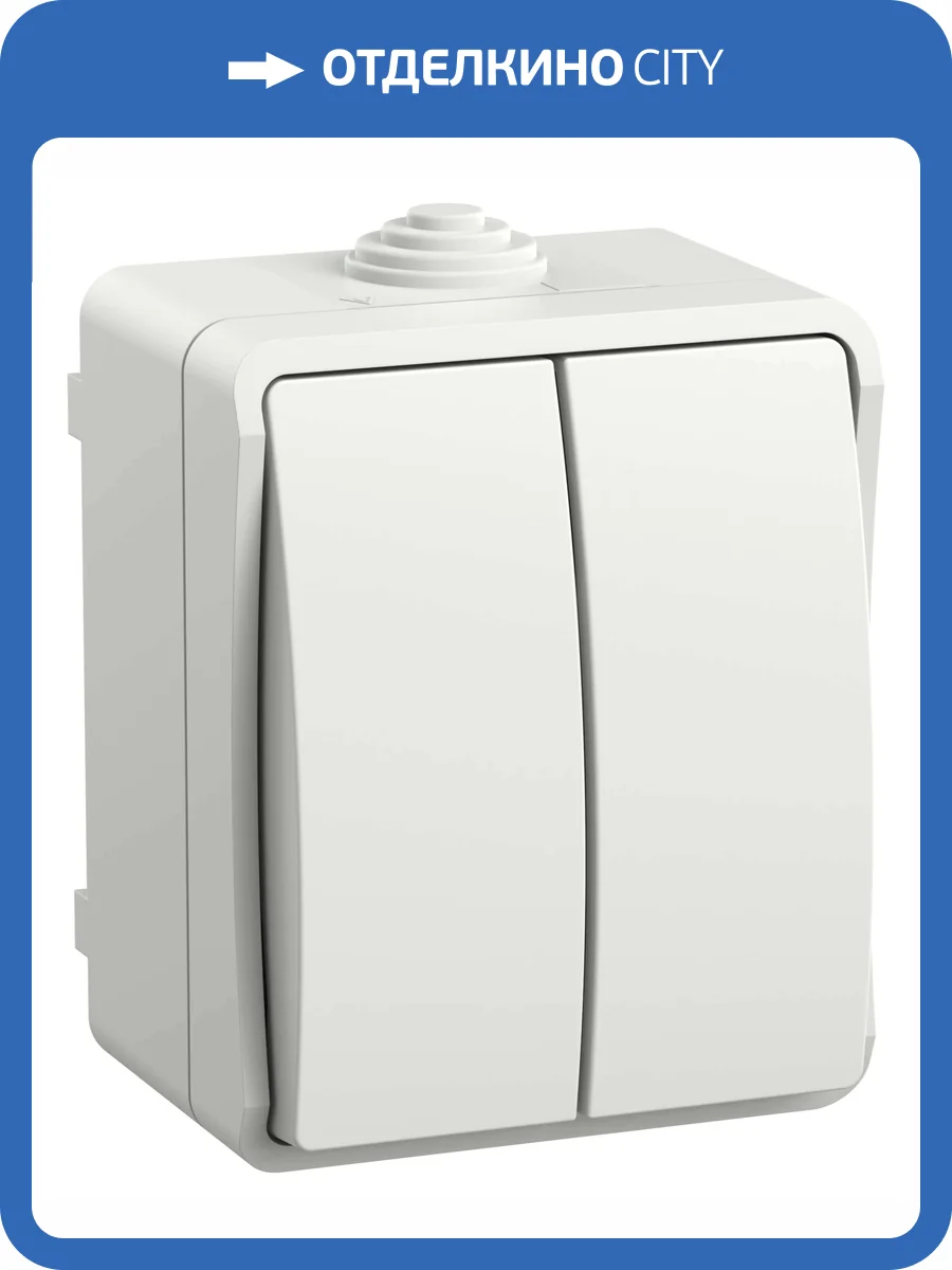 Выключатель 2-клавишный IEK Fors EVS20-K01-10-54-DC белый фото 5