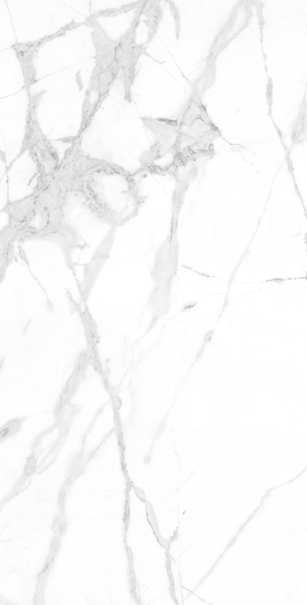 Керамогранит Arcadia Ceramica Diverso CR4023-A White Carving 60x120