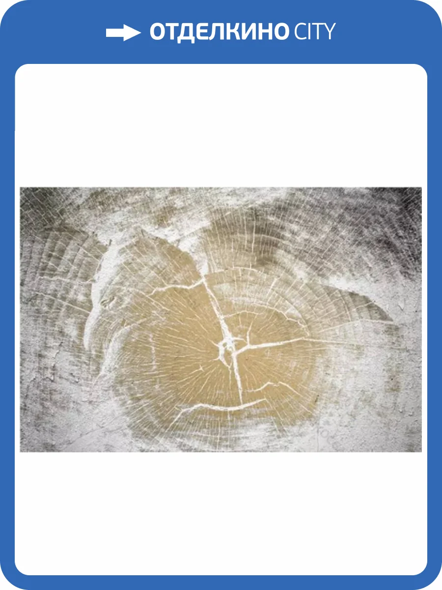 3D Фотообои Artegrafico «Древесный срез» MC-001 акварель фото 2