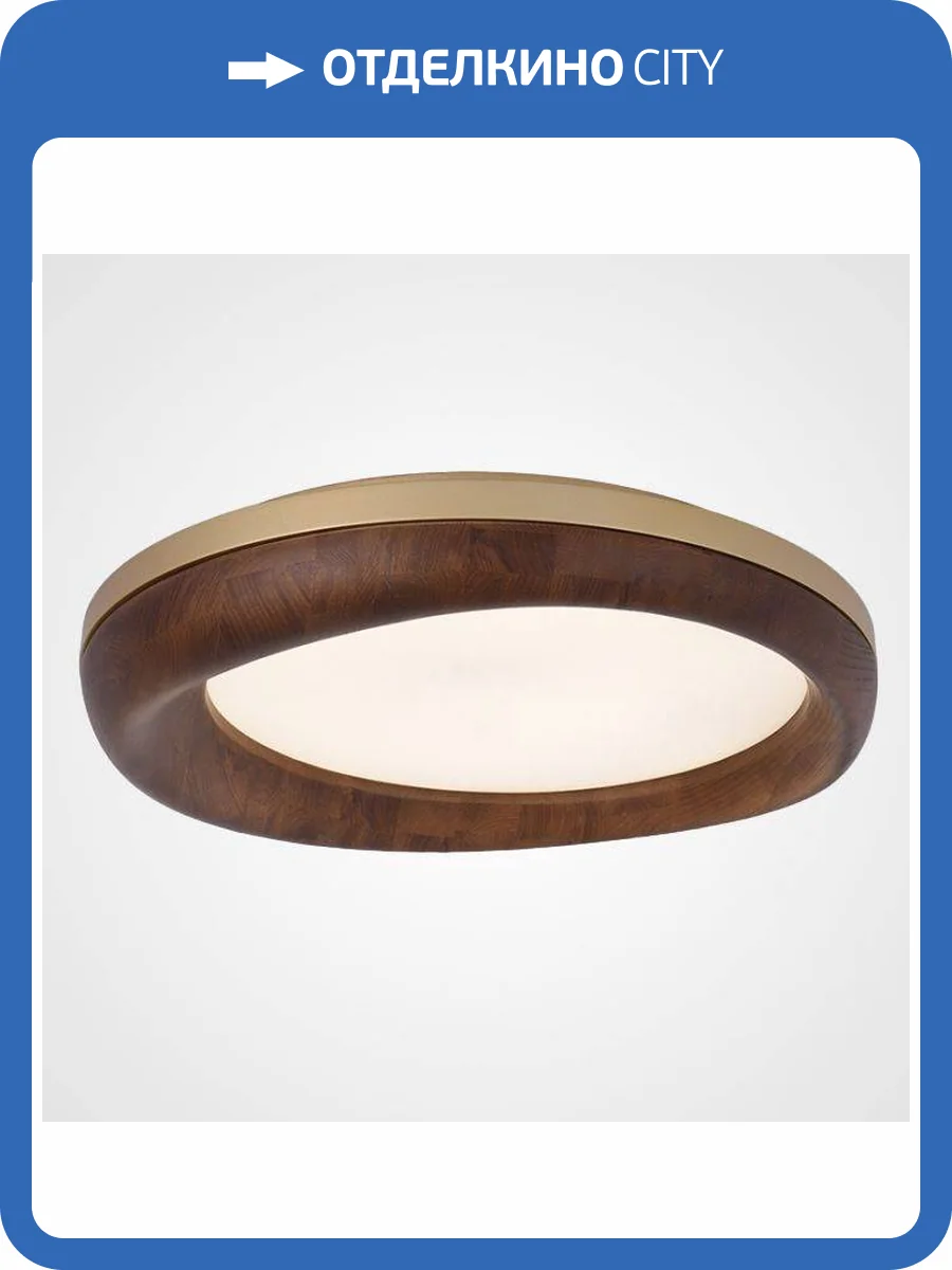 Потолочный светодиодный светильник Imperium Loft Runis 219478-26 фото 4