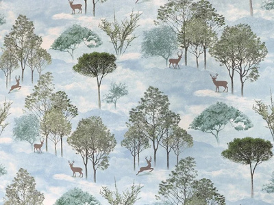 Elysium Карелия