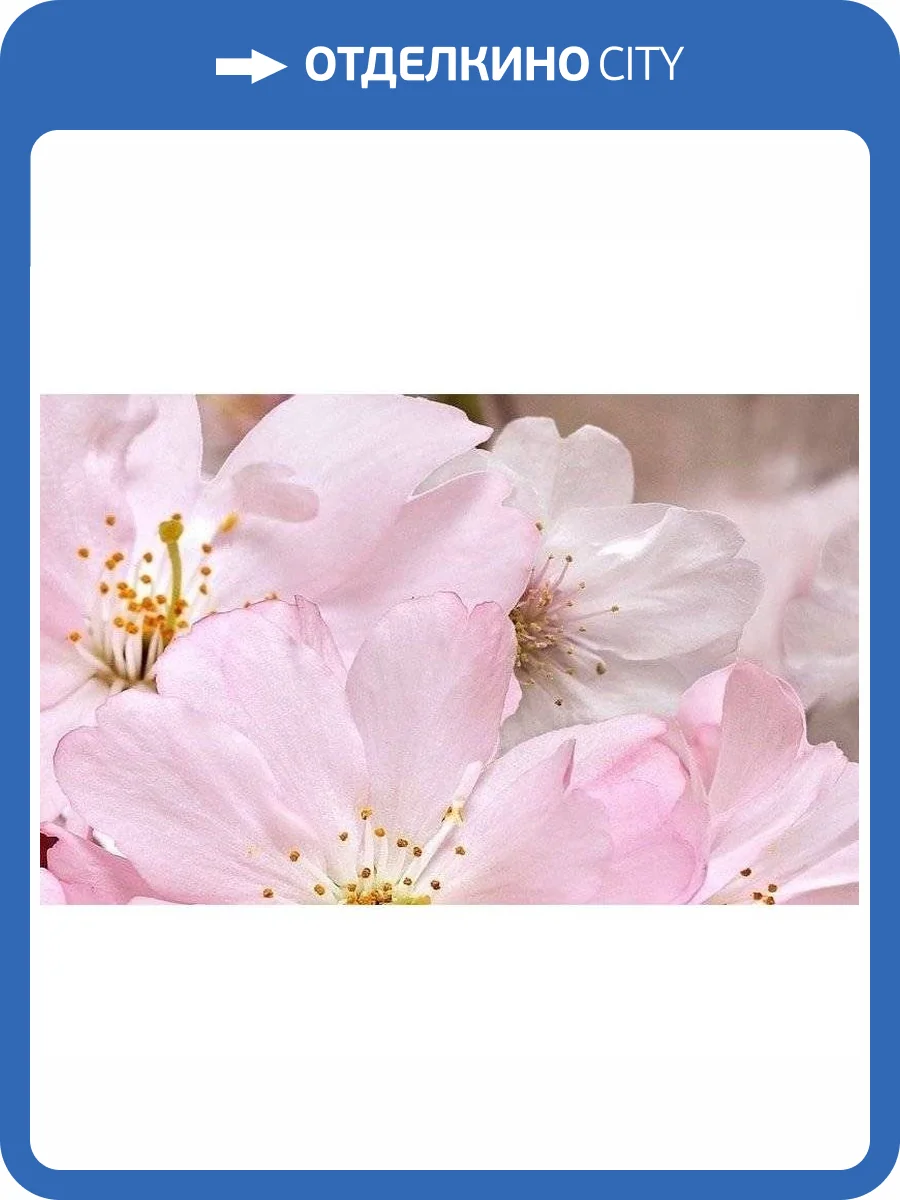 Декор Belleza Букет 09-01-41-663 25x40 фото 2