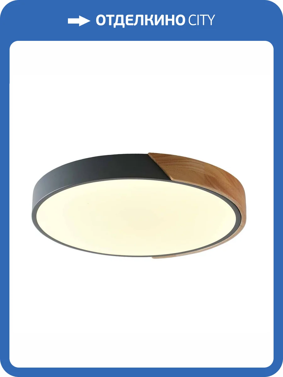 Потолочный светильник Zortes ALBERRO ZRS.01280.24 фото 6