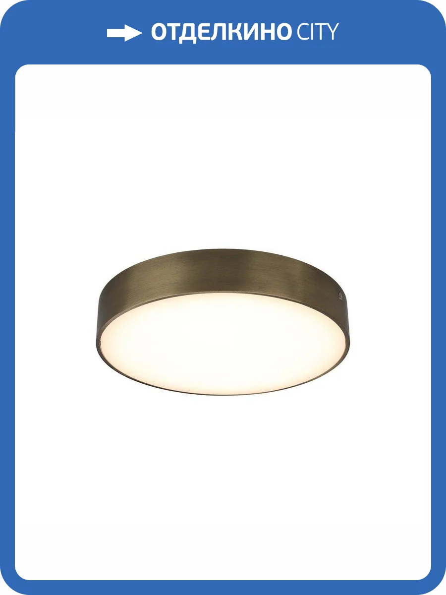 Потолочный светодиодный светильник Aployt Evon APL.0113.29.24 фото 2