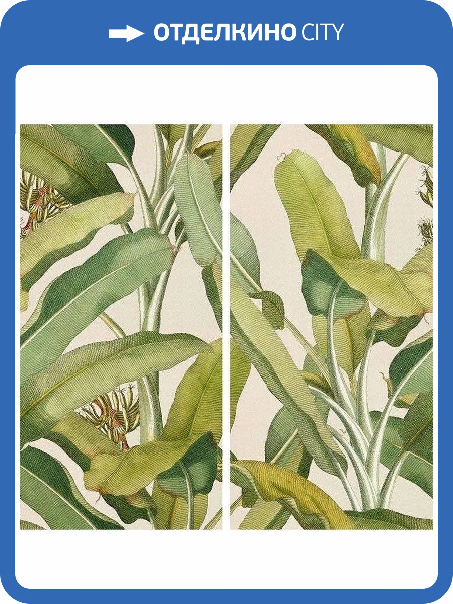Декор 41ZERO42 Paper41 Pro 4100336 Musa 50x100 фото 2