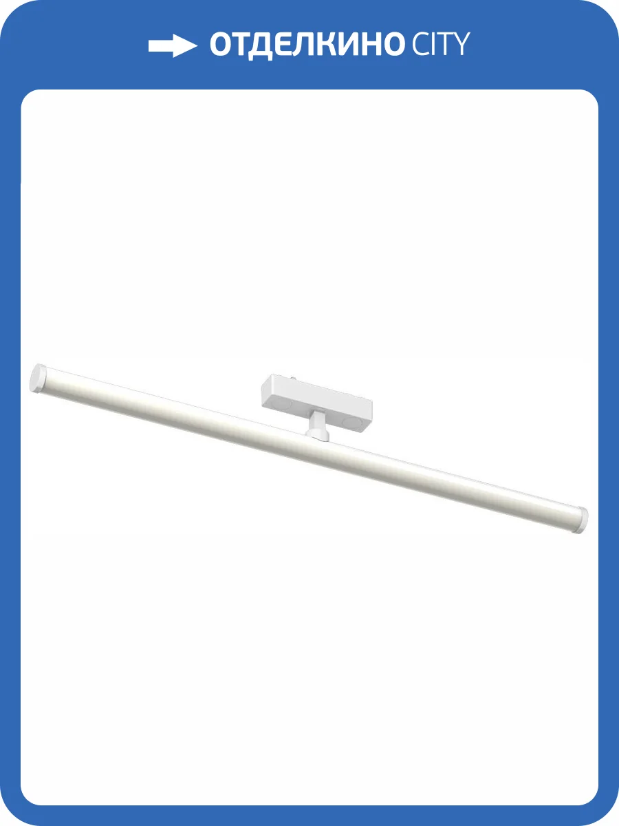 Трековый светильник Aployt APL.0121.10.20 фото 2