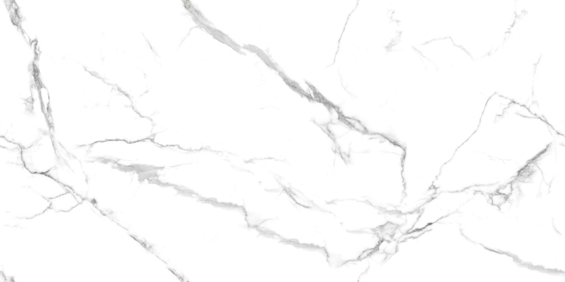Керамогранит Gravita Urban Marble Белый Glossy 60x120 фото 2