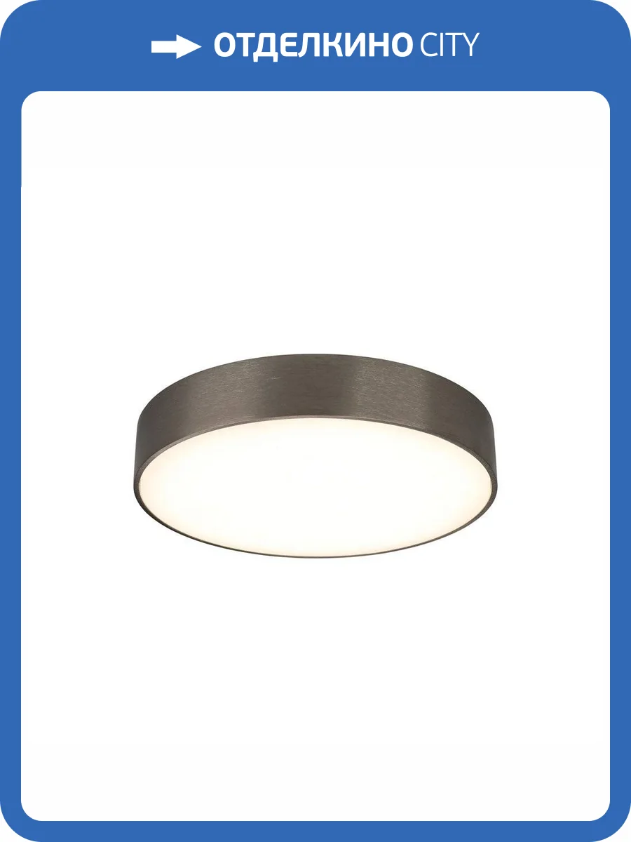 Потолочный светодиодный светильник Aployt Evon APL.0114.19.24 фото 2