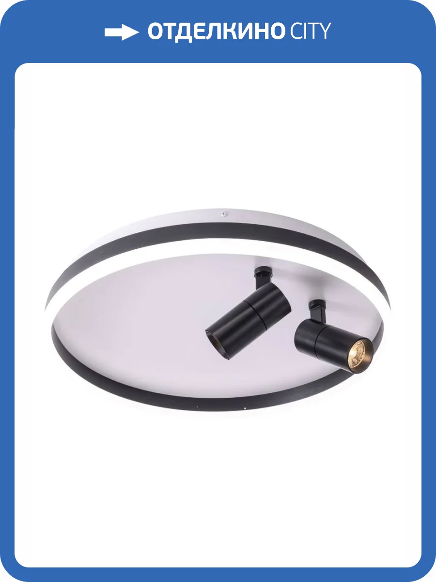 Потолочный светильник Zortes Raizy ZRS.1888.01 фото 7