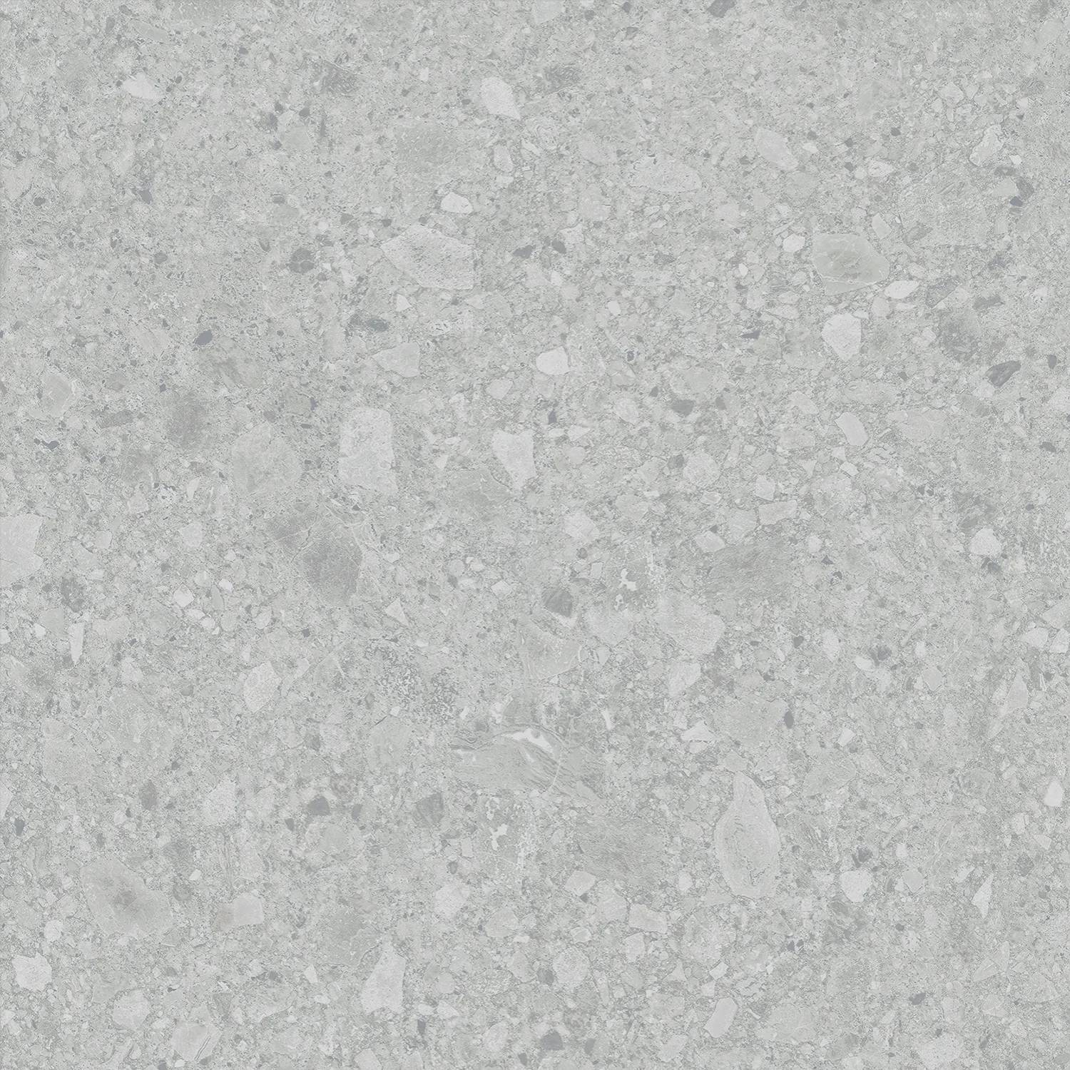 Керамогранит Lasselsberger Ceramics Иней Техно 6461-0425 Серый 60x60