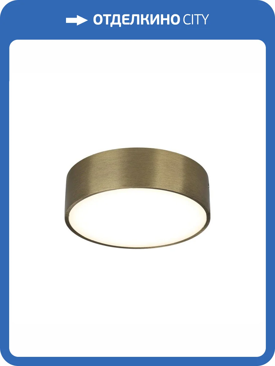 Потолочный светодиодный светильник Aployt Evon APL.0114.29.12 фото 2
