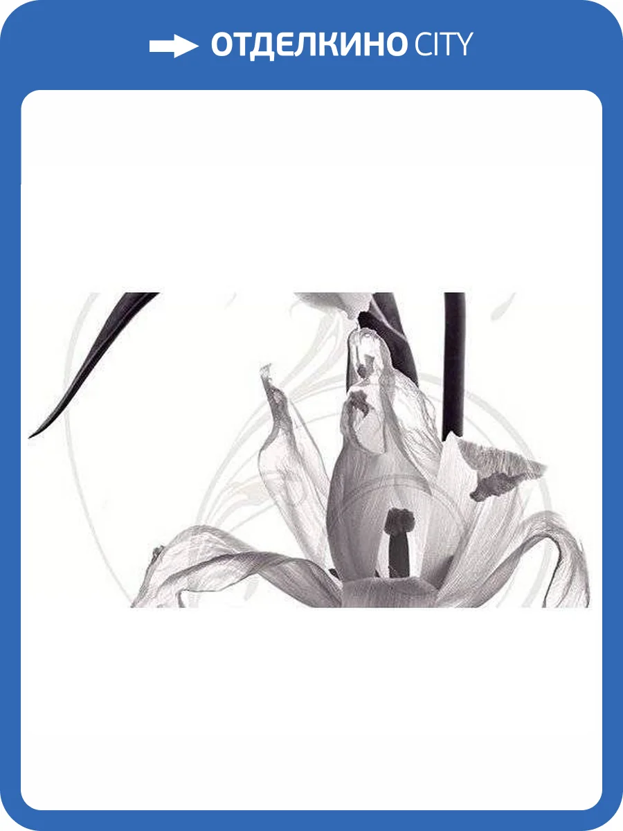 Панно Ceradim Pulsar КПН16PulsarA Dec Panno A 25x45 фото 2