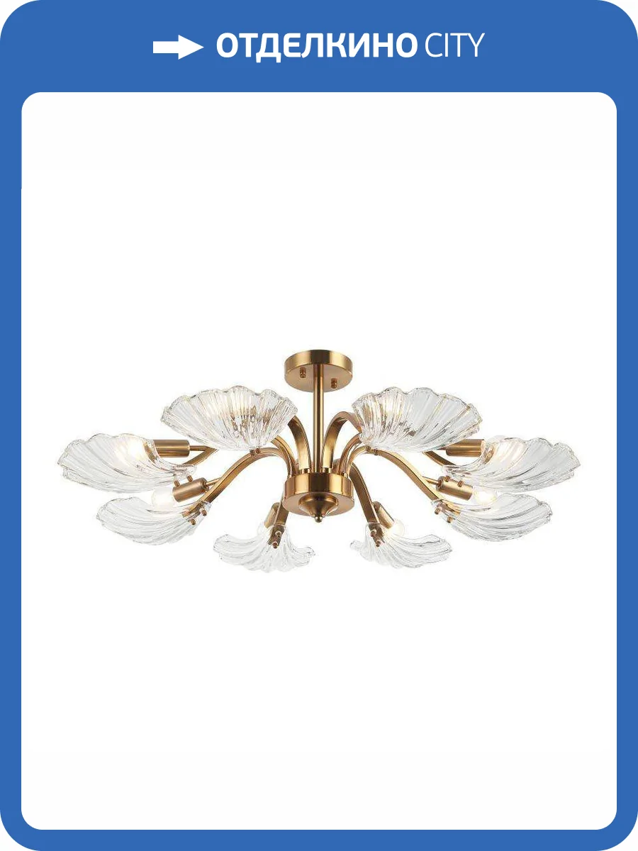 Потолочная люстра Stilfort Muschel 2153/05/08P фото 2