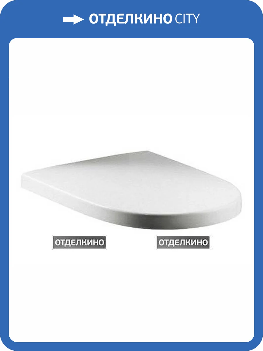 Крышка-сиденье Roca Meridian 8012AC00B с микролифтом, петли хром фото 2