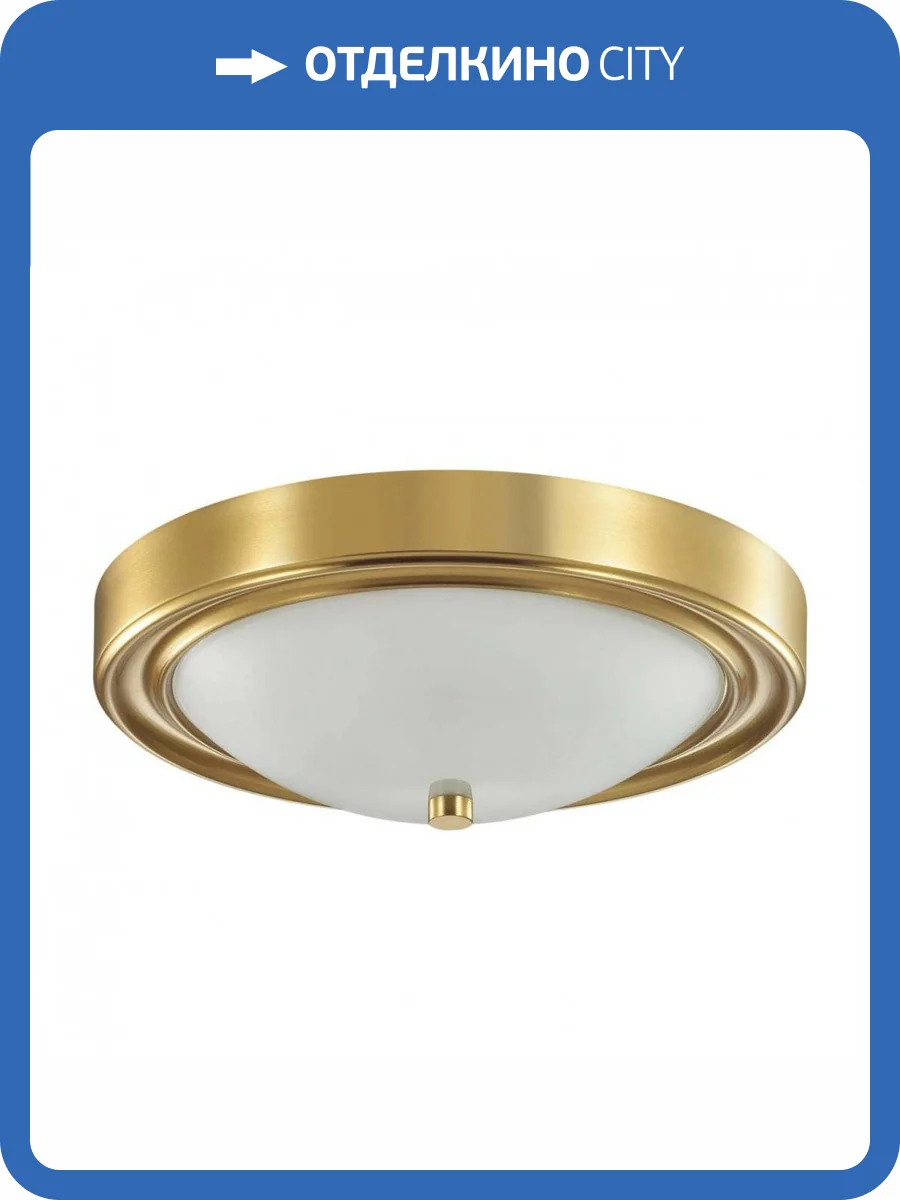 Настенно-потолочный светильник Lumion Vintage 5259/2C фото 3