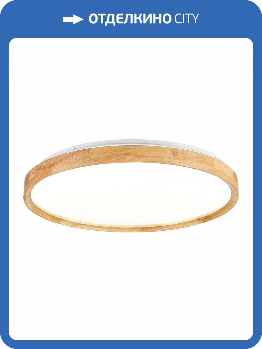 Накладной светодиодный светильник Evoluce Delia SLE201382-01 фото 4