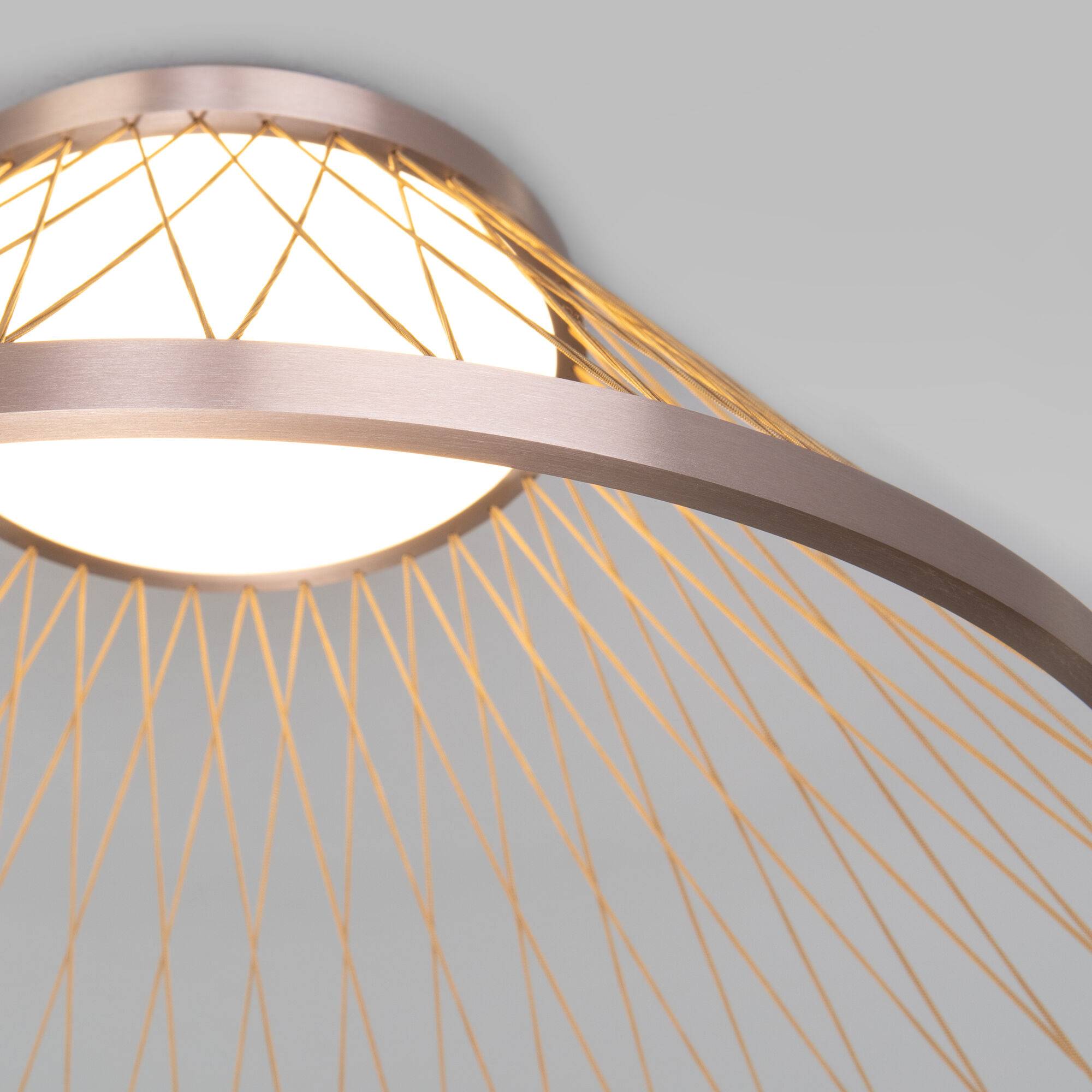 Потолочный светодиодный светильник Eurosvet Cesta 40019/1 LED коричневый фото 4