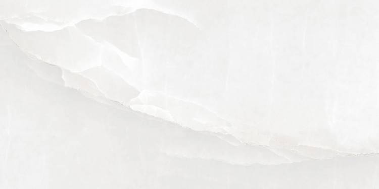 Dogma Project Spirit