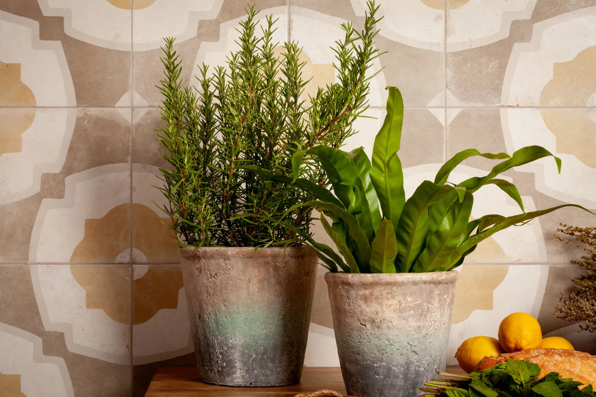 Peronda FS Farfalla фото 5