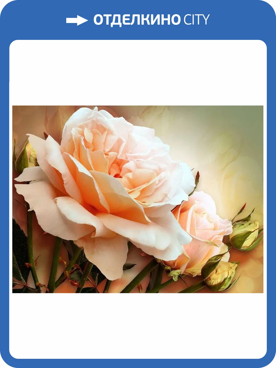 3D Фотообои Artegrafico «Персиковая роза» ROS-033 акварель фото 2