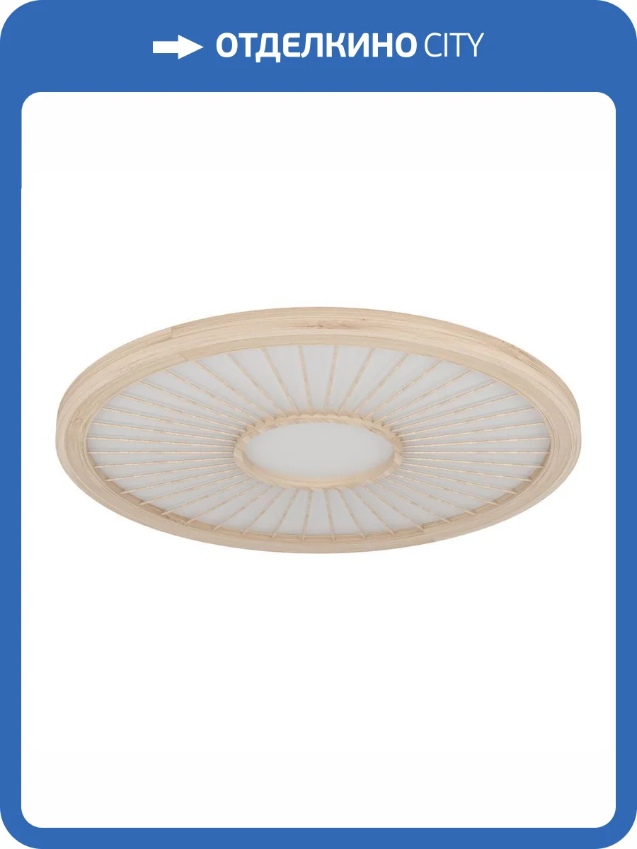 Потолочный светильник Eglo Dehesa 390296 фото 5