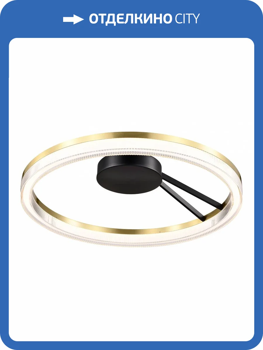 Потолочный светильник Lightstar Rotonda 736040 фото 2