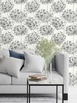 Monte Solaro Botanica