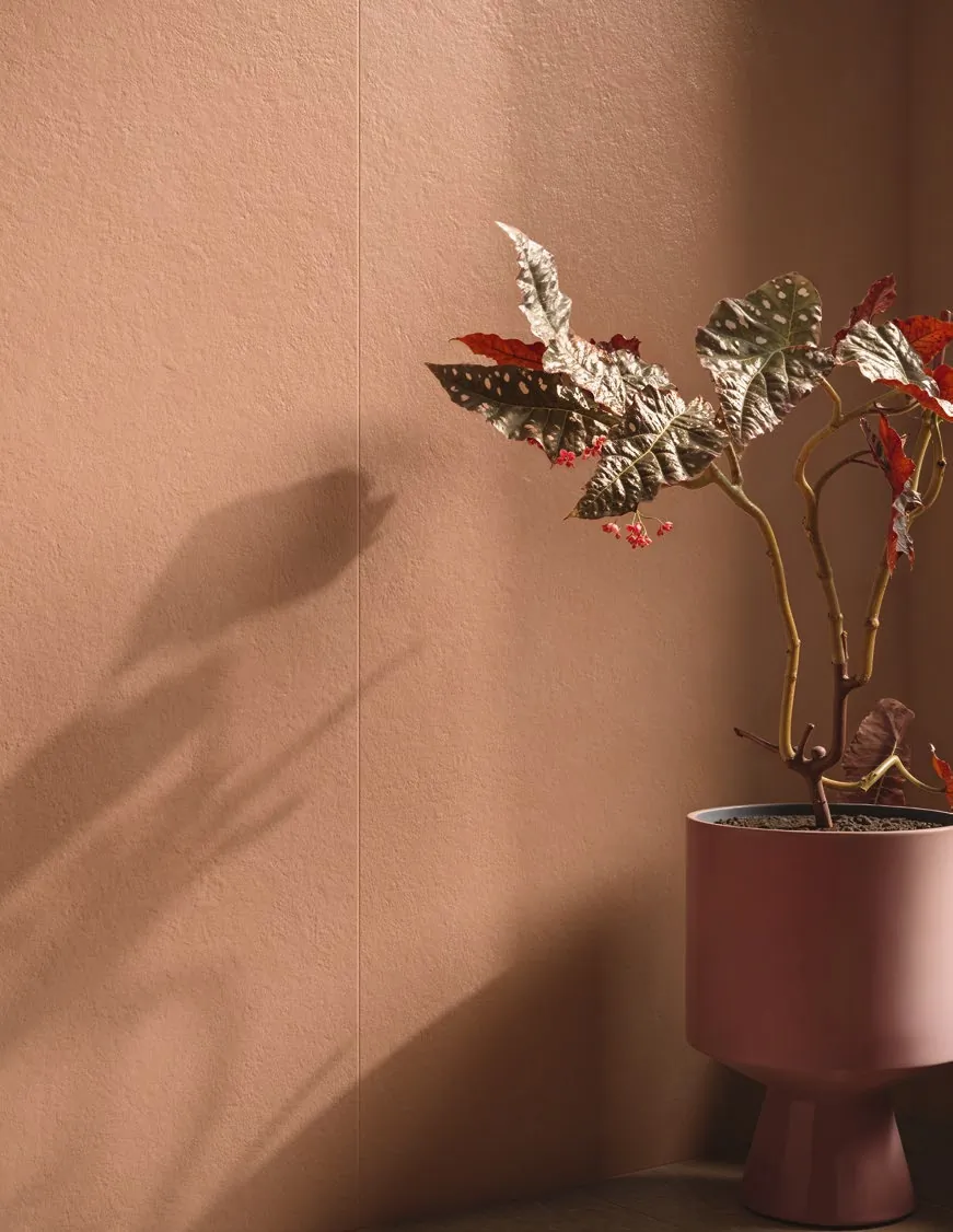 Naxos Pigmenta фото 17