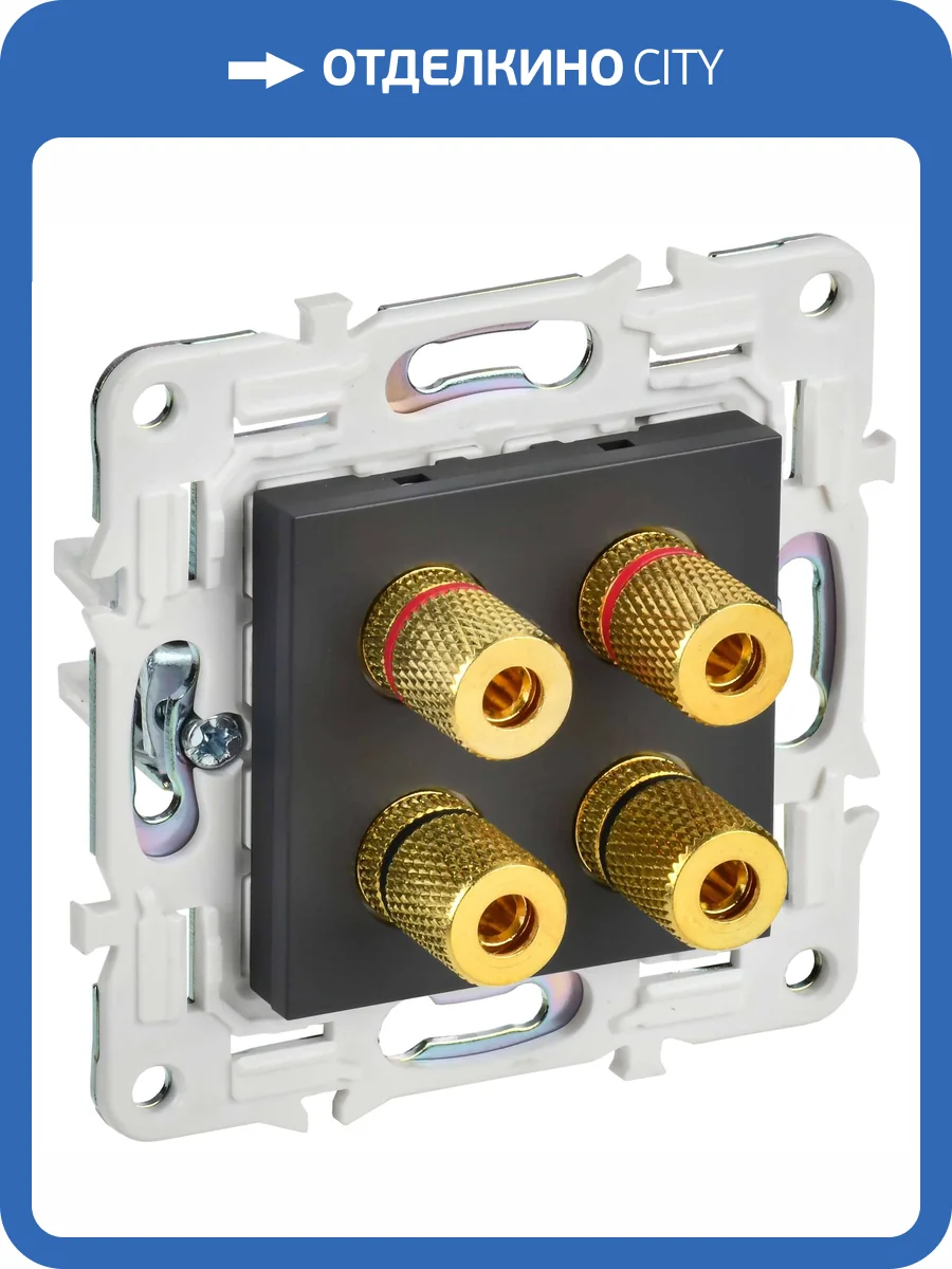 Акустическая розетка IEK Skandy SK-S40-K48 титан фото 7