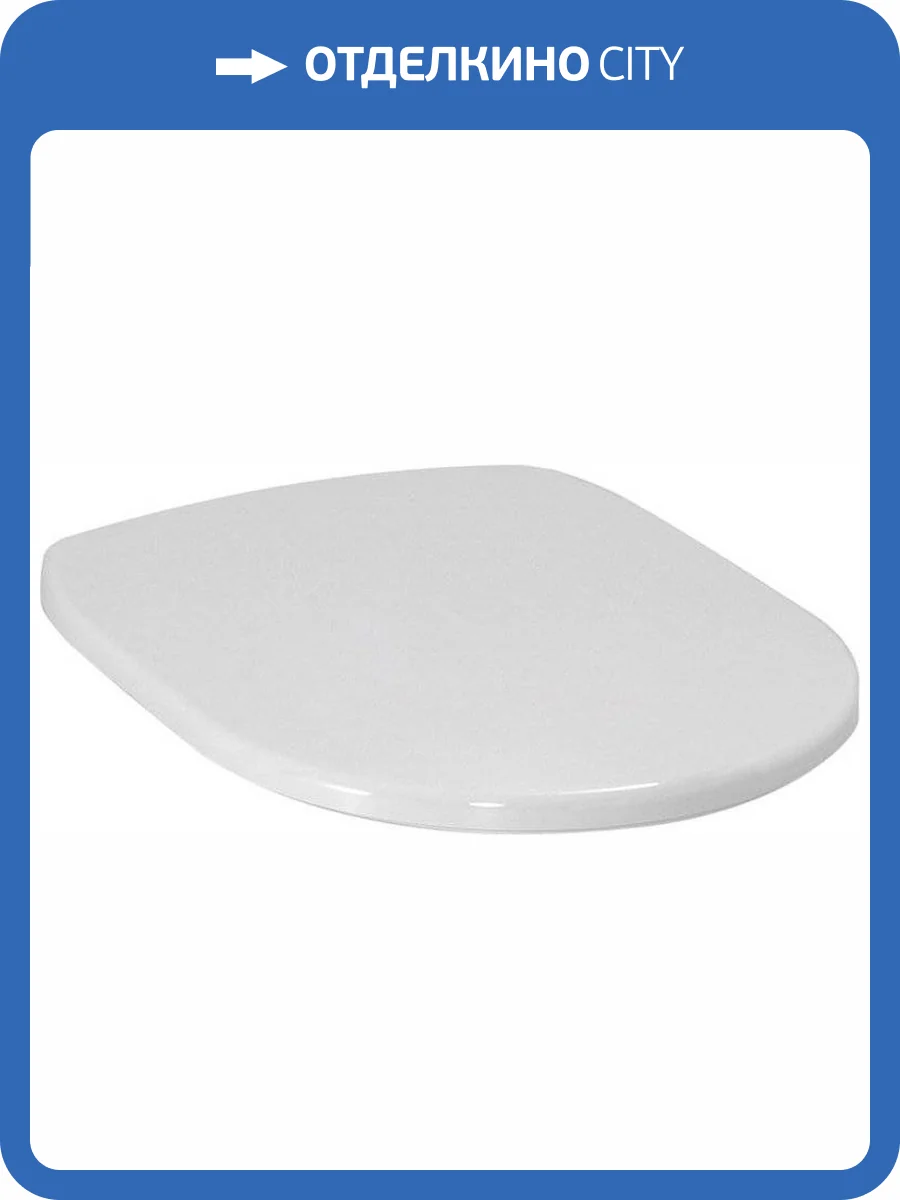 Крышка-сиденье Laufen Pro 8.9195.1.300.003.1 с микролифтом, петли хром фото 4