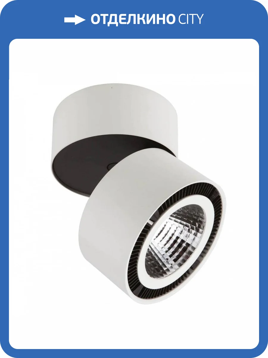 Потолочный светодиодный светильник Lightstar Forte Muro 213850 фото 3