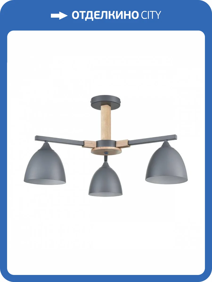 Люстра потолочная Lumion Moderni 8096/3C фото 2