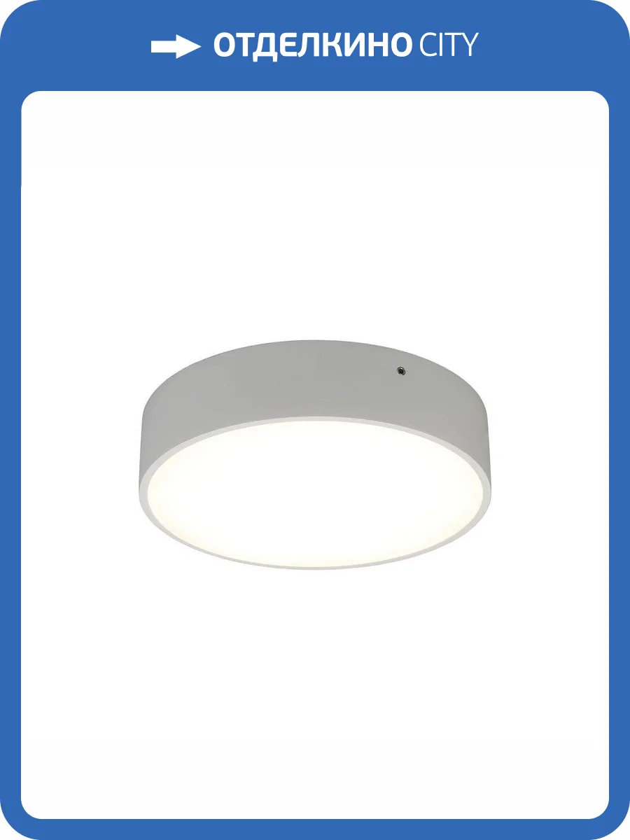 Потолочный светодиодный светильник Aployt Evon APL.0114.09.18 фото 2