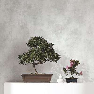 Marburg Loft 1.06 М