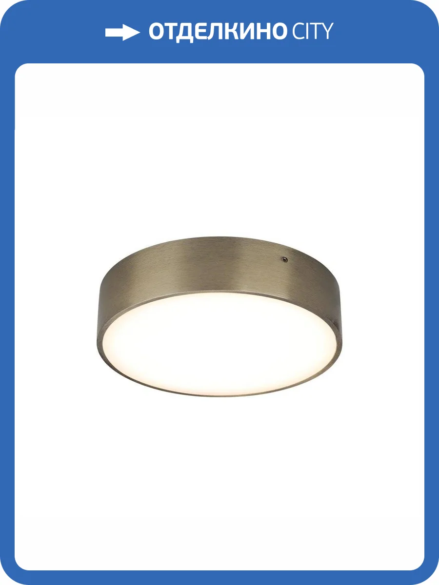 Потолочный светодиодный светильник Aployt Evon APL.0113.29.18 фото 2