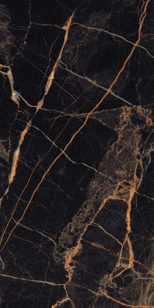 Maimoon Gloster фото 2