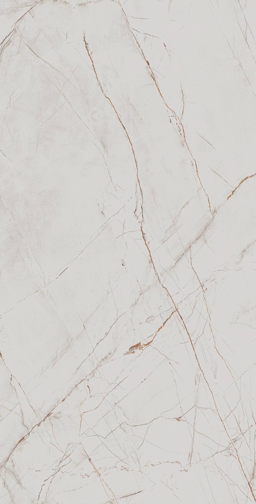 Керамогранит Arcadia Ceramica Valencia CR4027-A Silver Grey Carving 60x120 фото 4