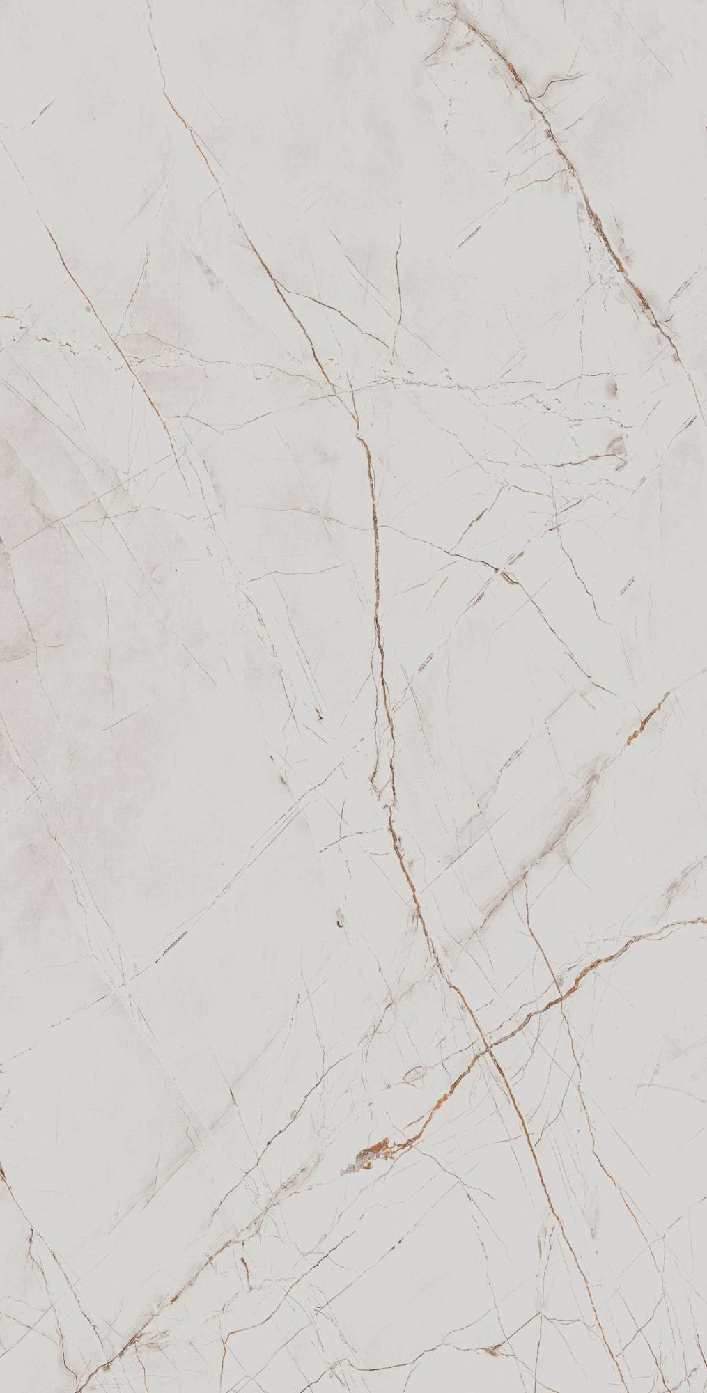 Керамогранит Arcadia Ceramica Valencia CR4027-A Silver Grey Carving 60x120 фото 2