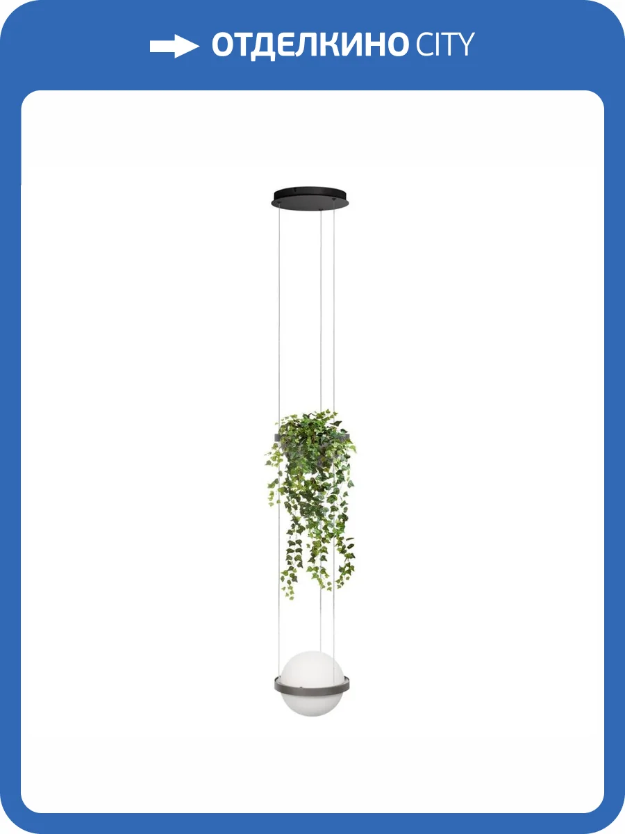 Подвесной светильник Loft IT Jardin 10121/1P Dark grey фото 2