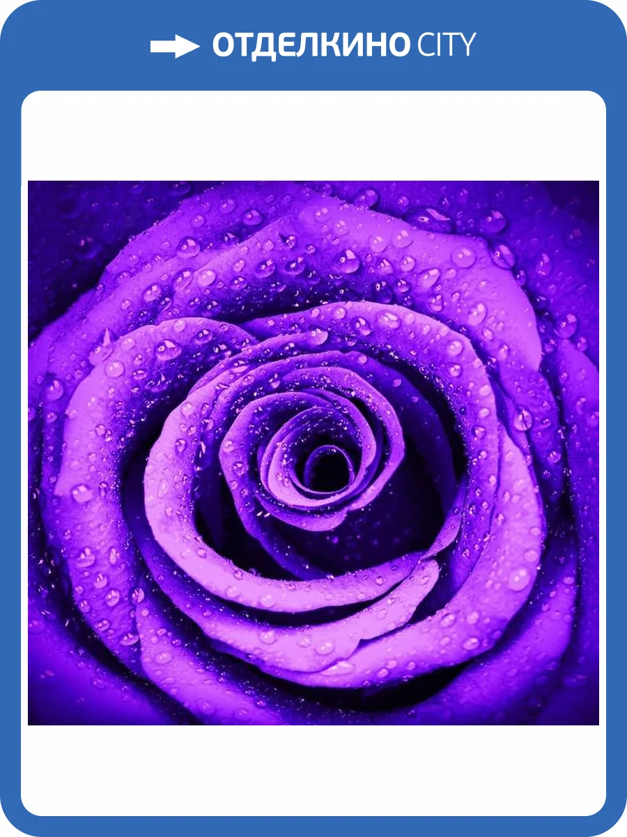 3D Фотообои Artegrafico «Фиолетовая роза с каплями» N023-1 акварель фото 2