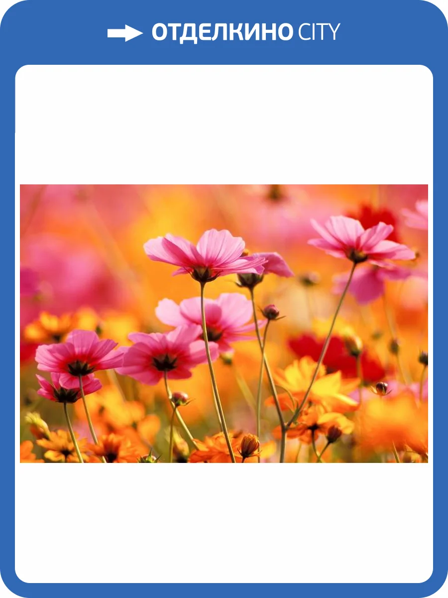 3D Фотообои Artegrafico «Цветные ромашки» R842-1 акварель фото 2