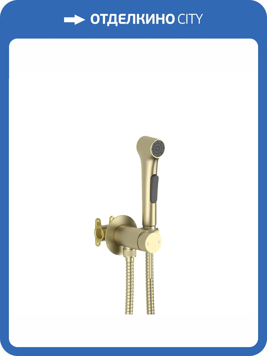 Гигиенический душ Aquatek Европа AQ1020BG золотой брашированный фото 5