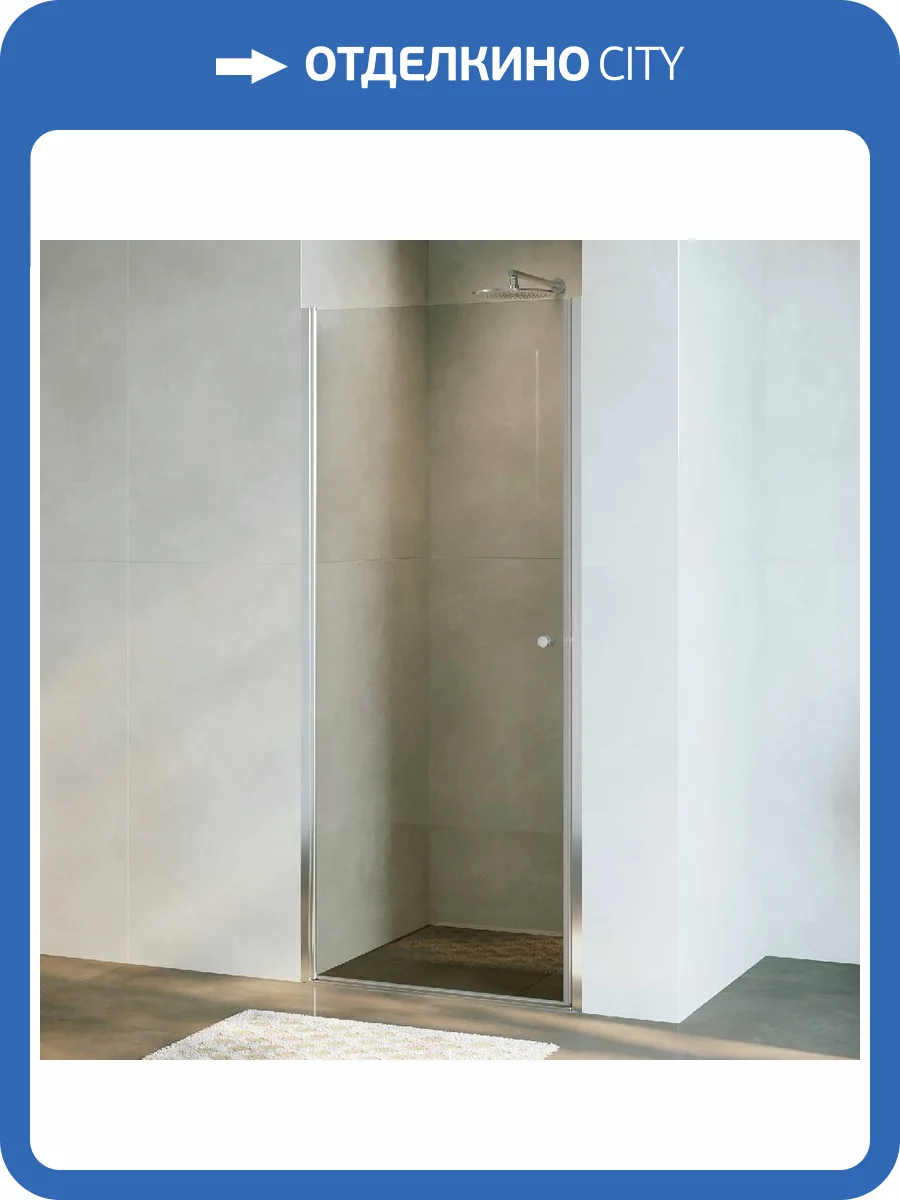 Душевая дверь RGW Dolphin TN-03 54930309-101 90 см профиль Хром фото 4
